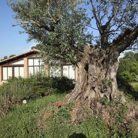 Chalet Domaine De Combe Ramond Veilhes